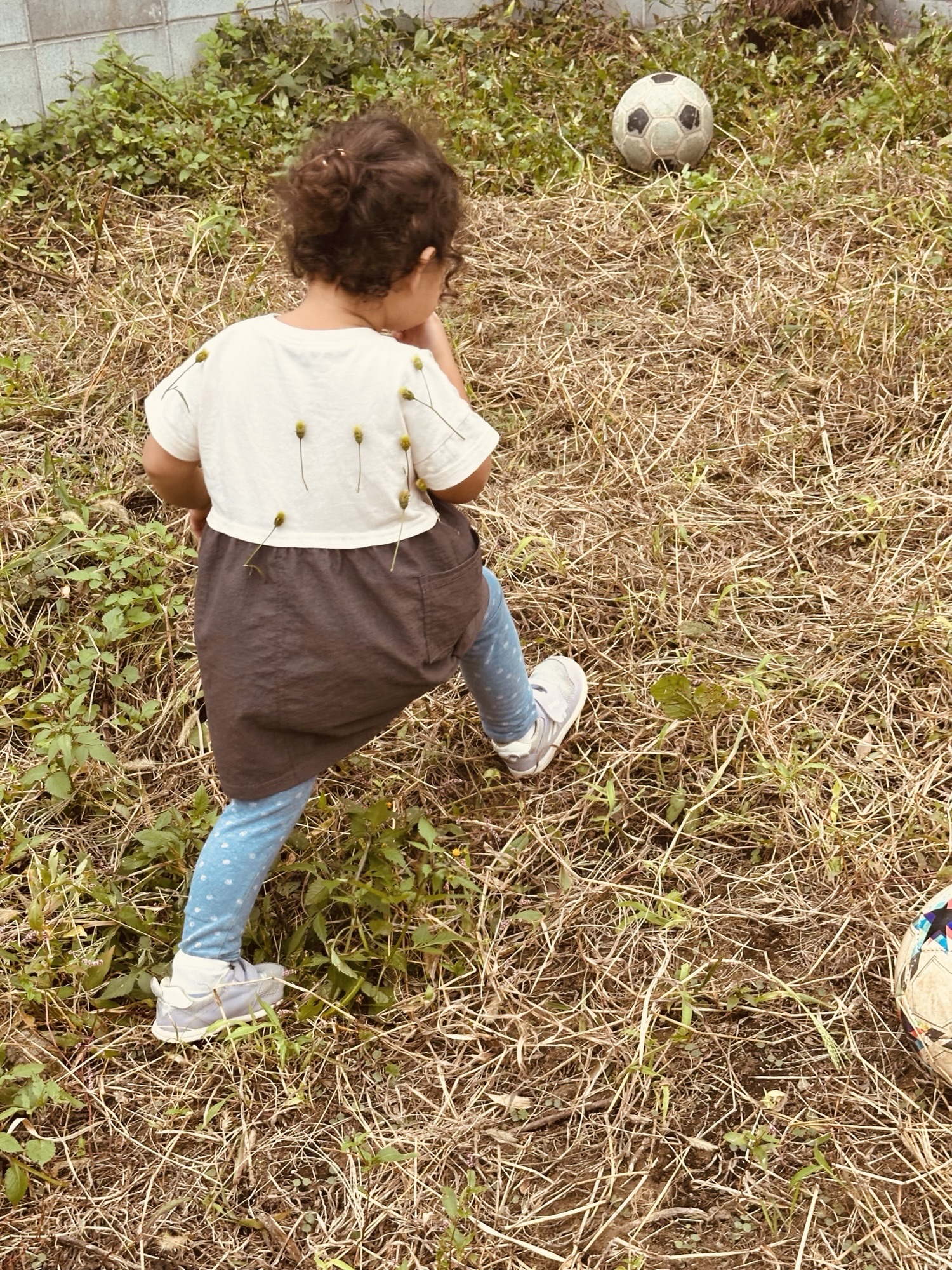 auto-NR492e.jpeg auto-NR492e.jpeg