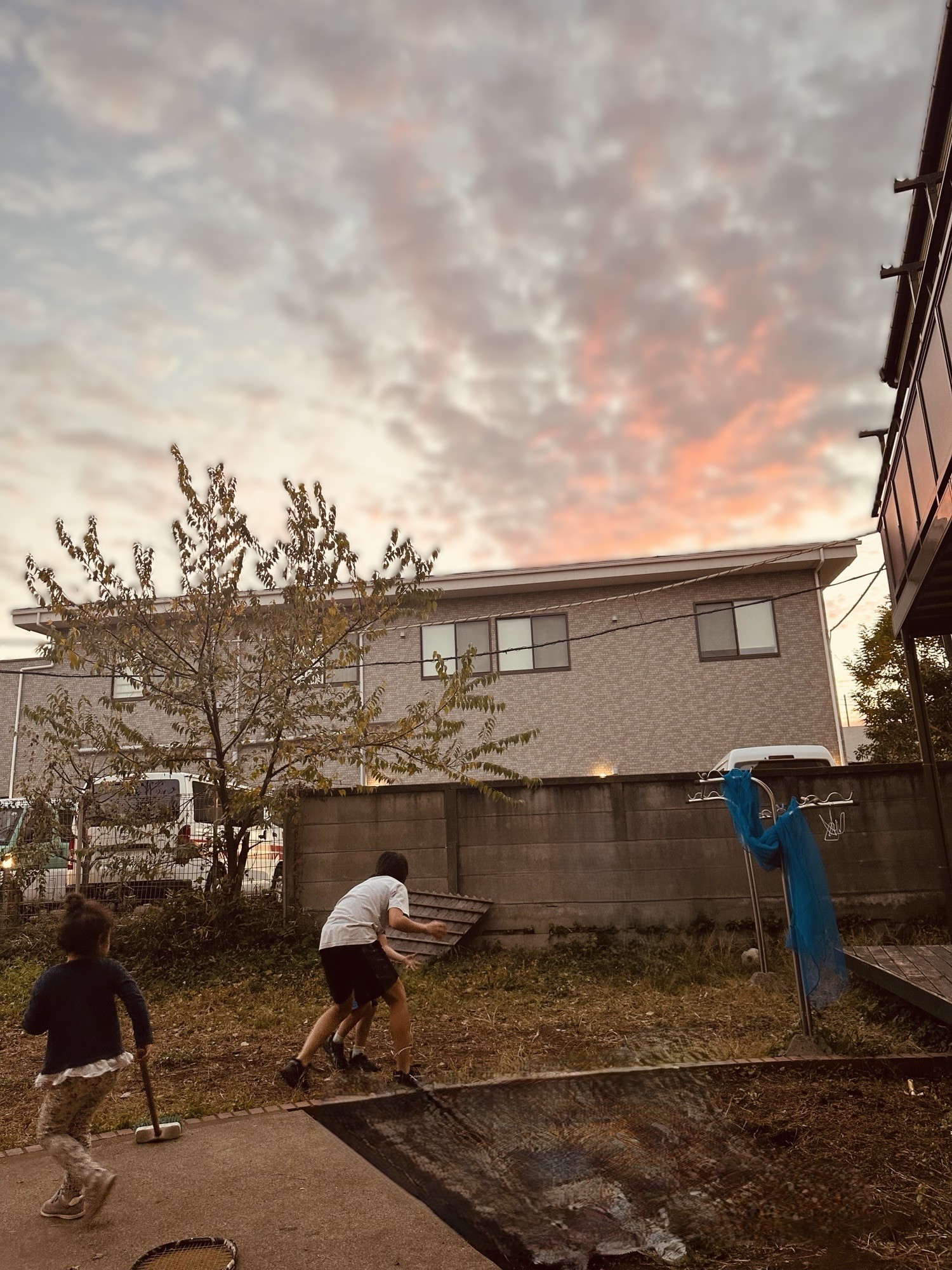 オアシス庭修正版