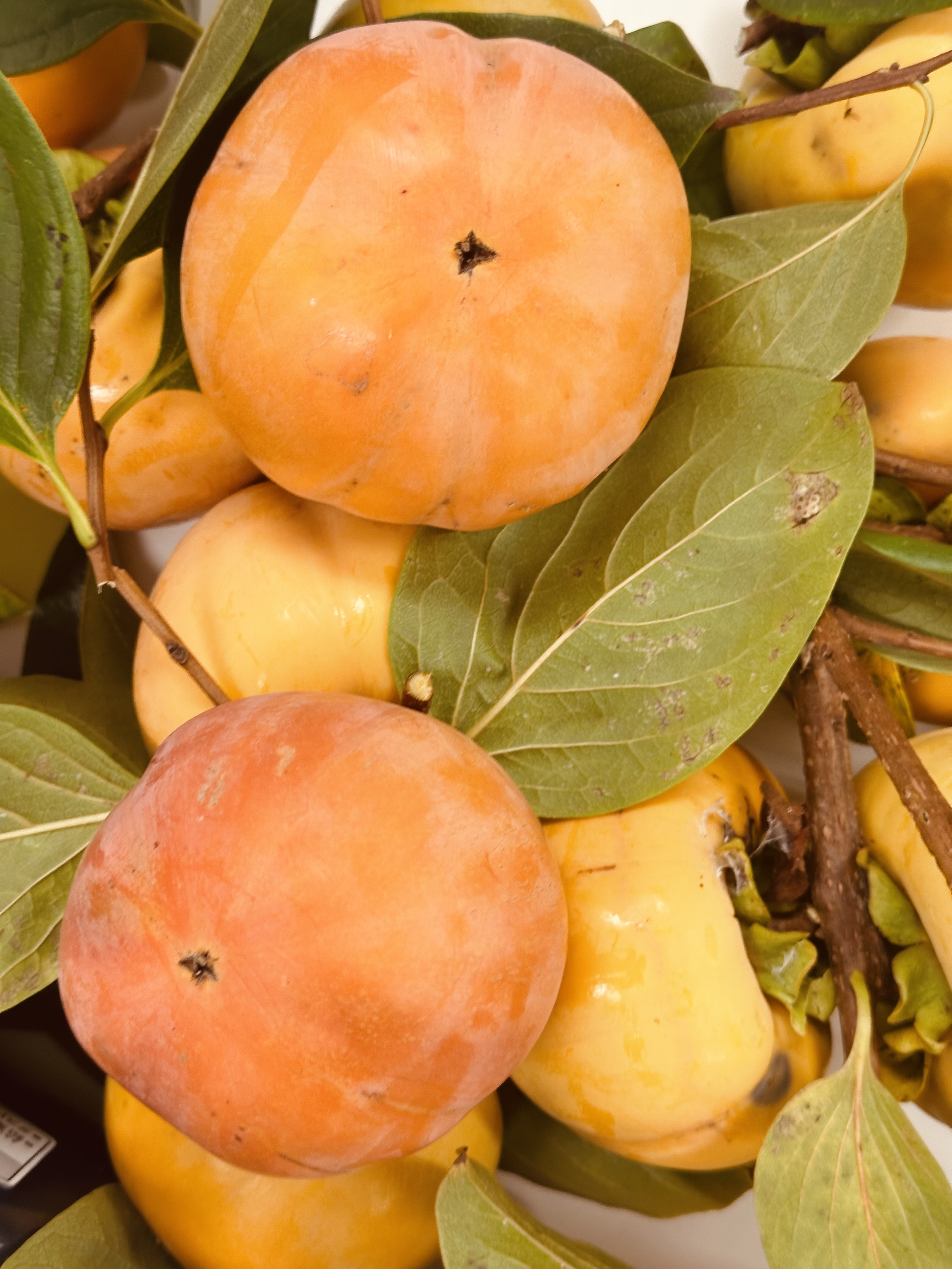 auto-ktv3cF.jpeg auto-ktv3cF.jpeg